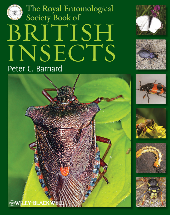 Обложка книги «The Royal Entomological Society Book of British Insects»