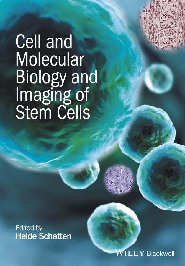 Обложка книги «Cell and Molecular Biology and Imaging of Stem Cells»
