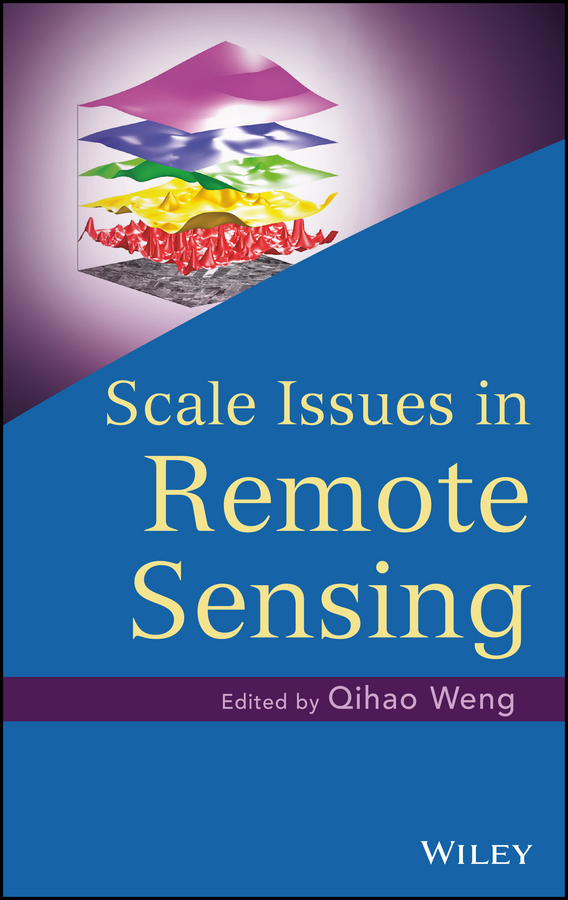 Обложка книги «Scale Issues in Remote Sensing»