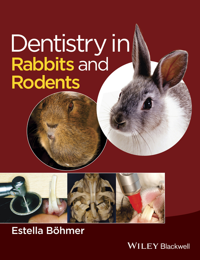 Обложка книги «Dentistry in Rabbits and Rodents»