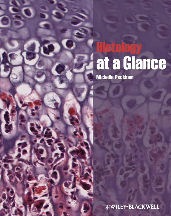 Обложка книги «Histology at a Glance»