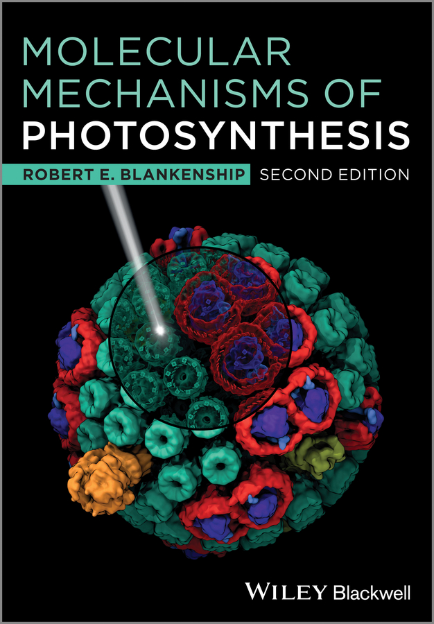 Обложка книги «Molecular Mechanisms of Photosynthesis»