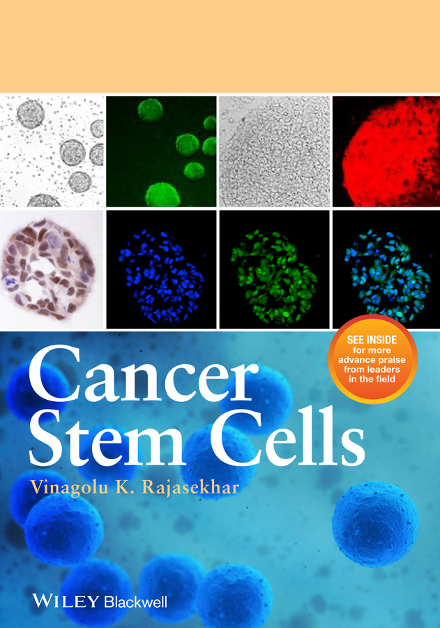 Обложка книги «Cancer Stem Cells»