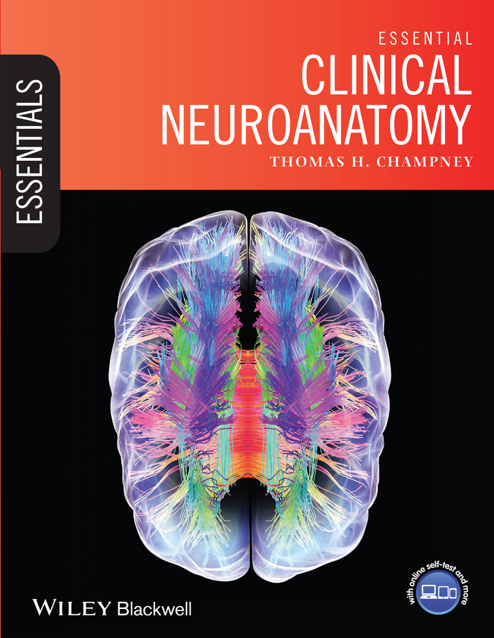Обложка книги «Essential Clinical Neuroanatomy»