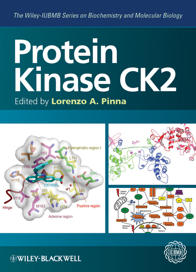 Обложка книги «Protein Kinase CK2»
