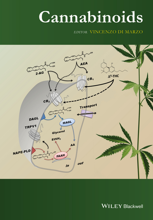 Обложка книги «Cannabinoids»