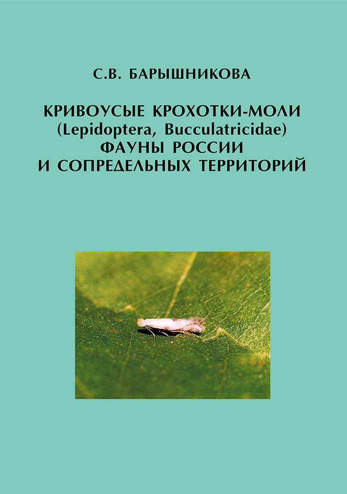 Обложка книги «Кривоусые крохотки-моли (Lepidoptera, Bucculatricidae) фауны России и сопредельных территорий»