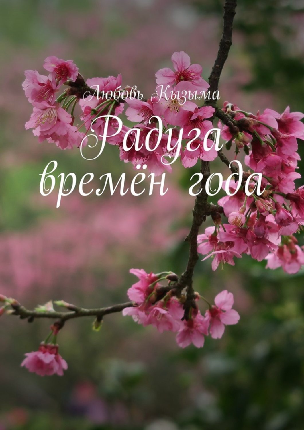 Обложка книги «Радуга времён года»