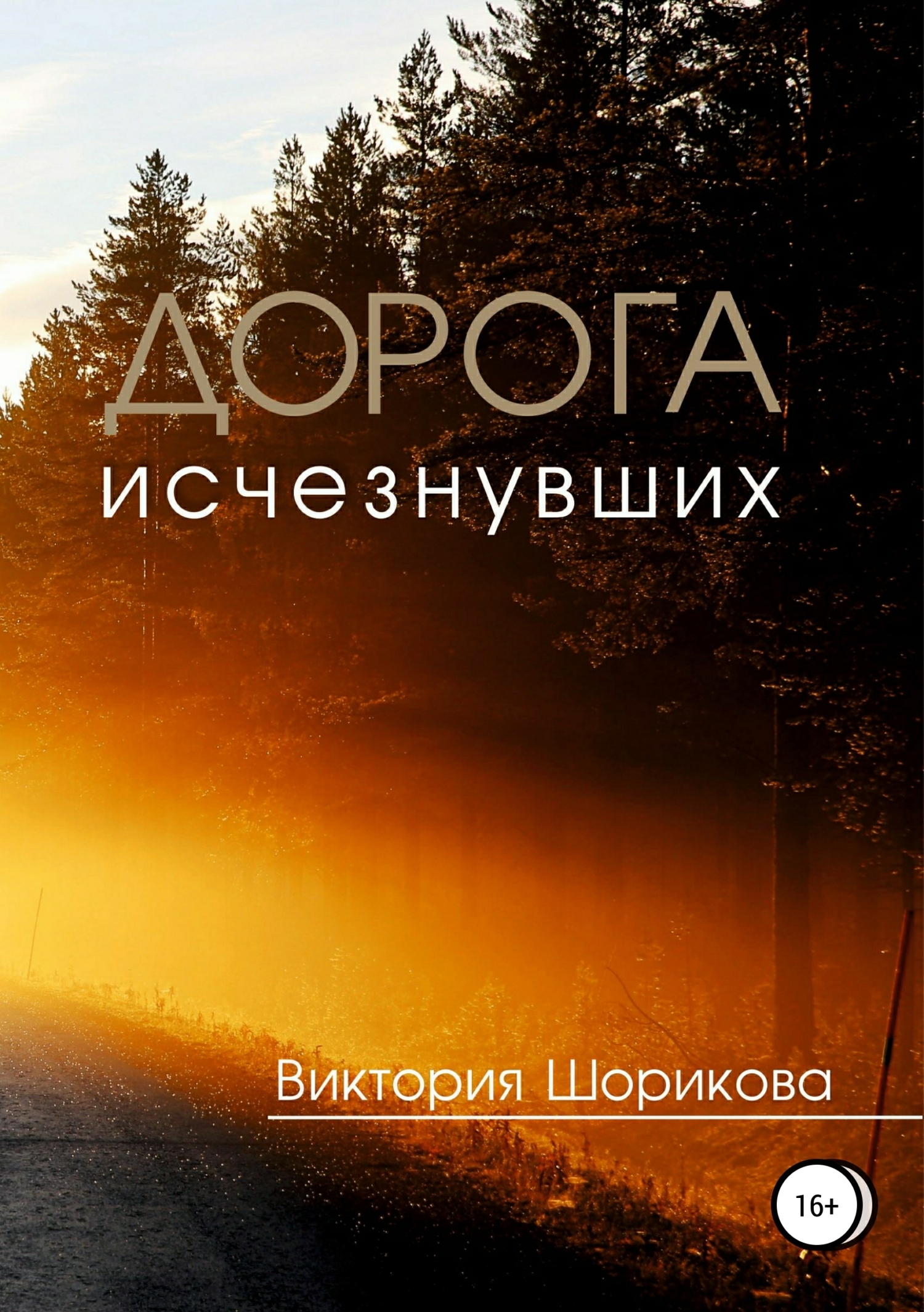 Обложка книги «Дорога исчезнувших»
