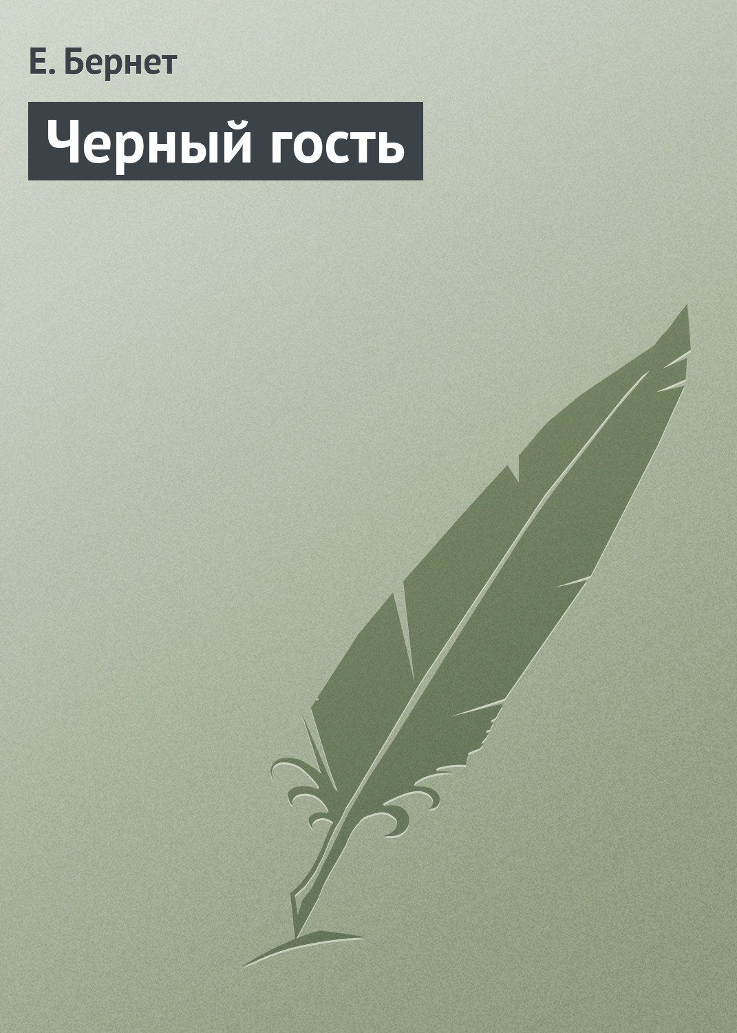 Обложка книги «Черный гость»