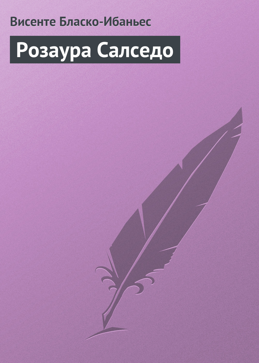 Обложка книги «Розаура Салседо»