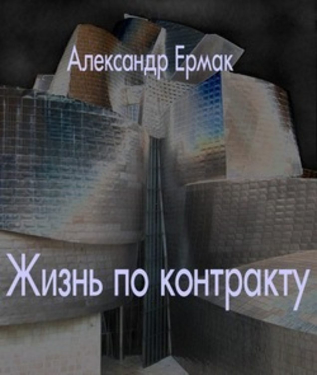 Обложка книги «Жизнь по контракту»