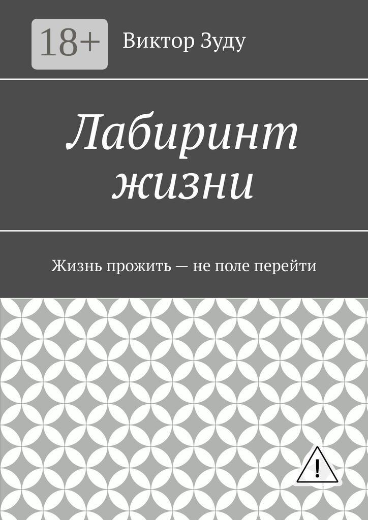 Обложка книги «Лабиринт жизни»