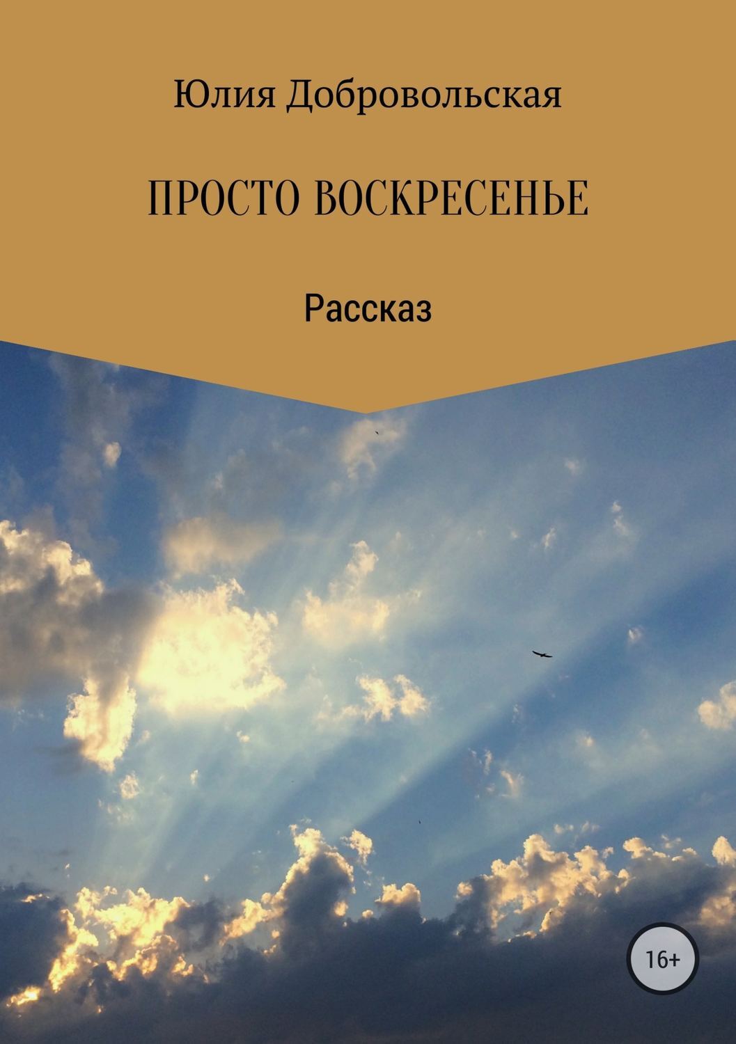 Обложка книги «Просто воскресенье»