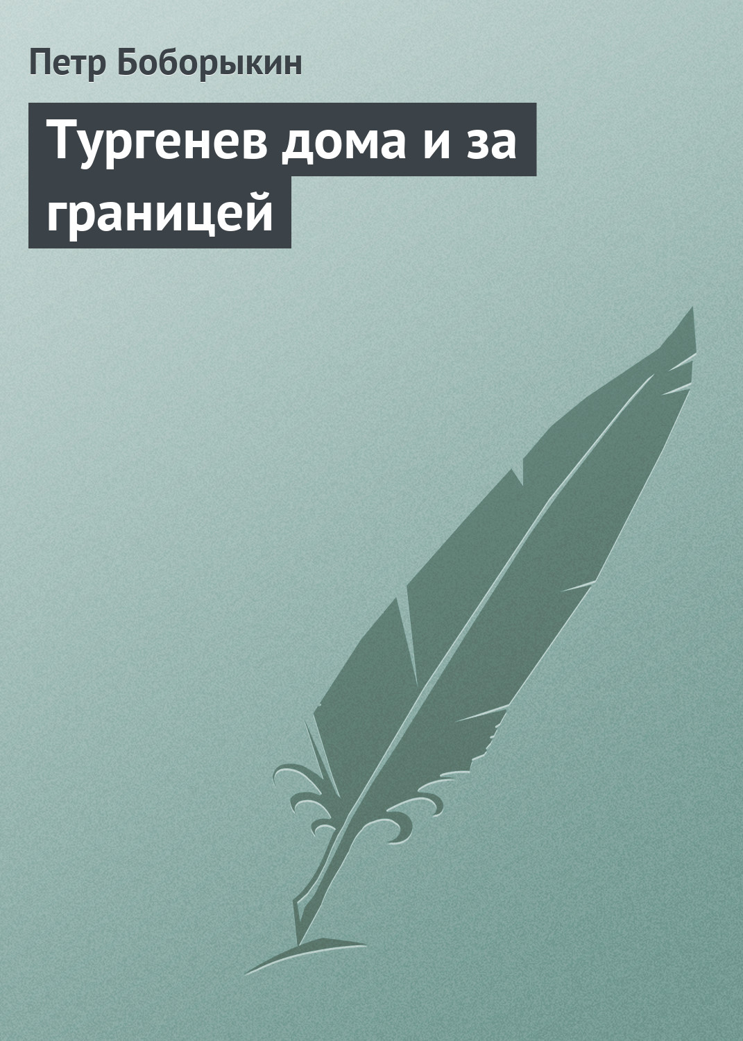 Обложка книги «Тургенев дома и за границей»