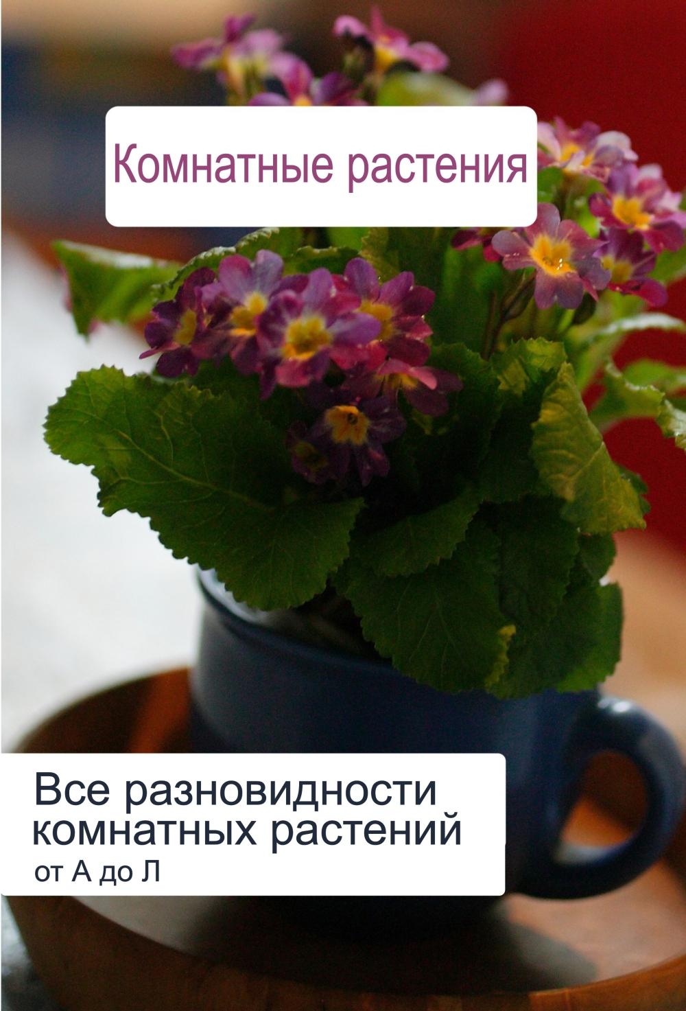 Обложка книги «Все разновидности комнатных растений (от А до Л)»