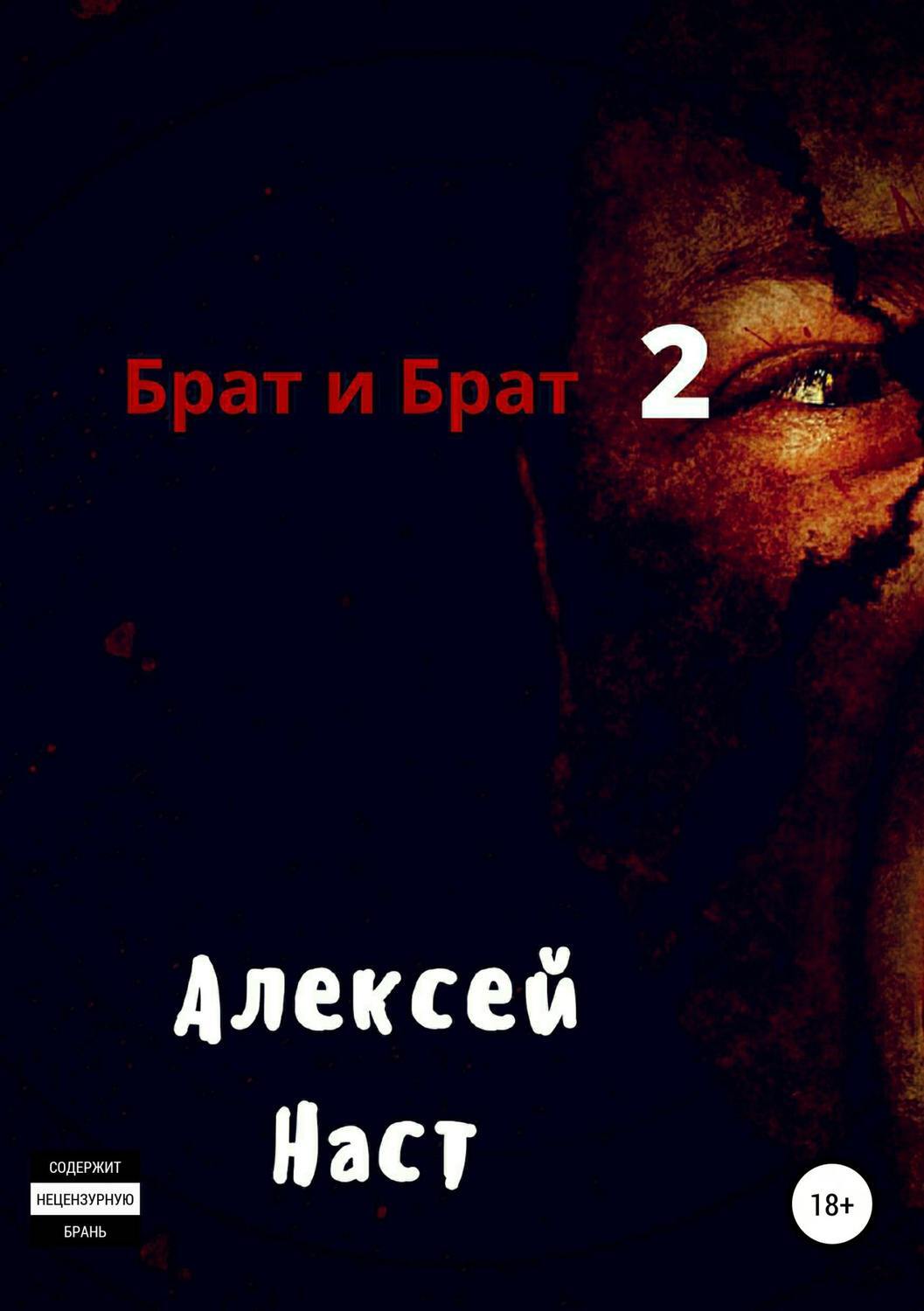 Обложка книги «Брат и Брат 2»