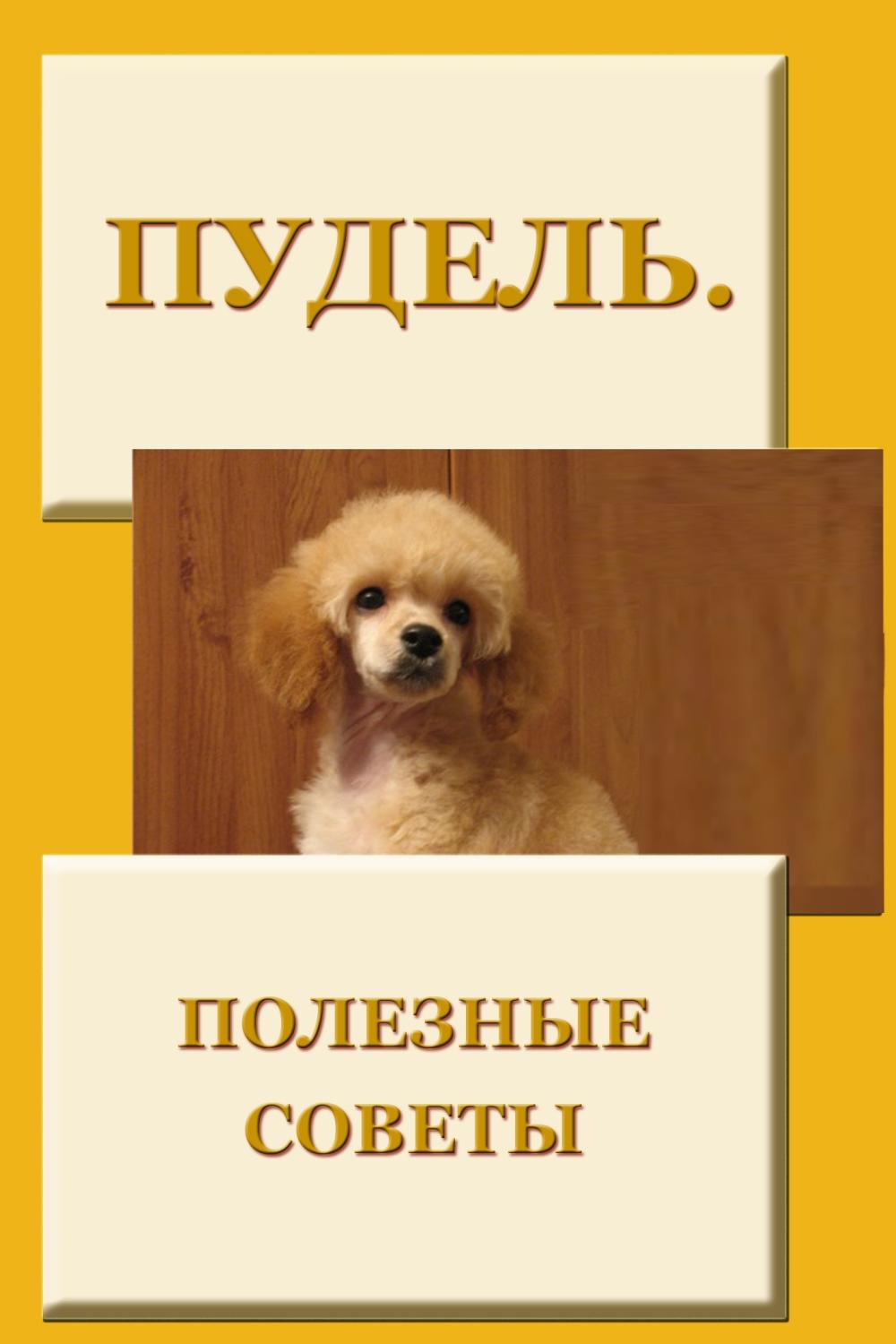Обложка книги «Пудель. Полезные советы»