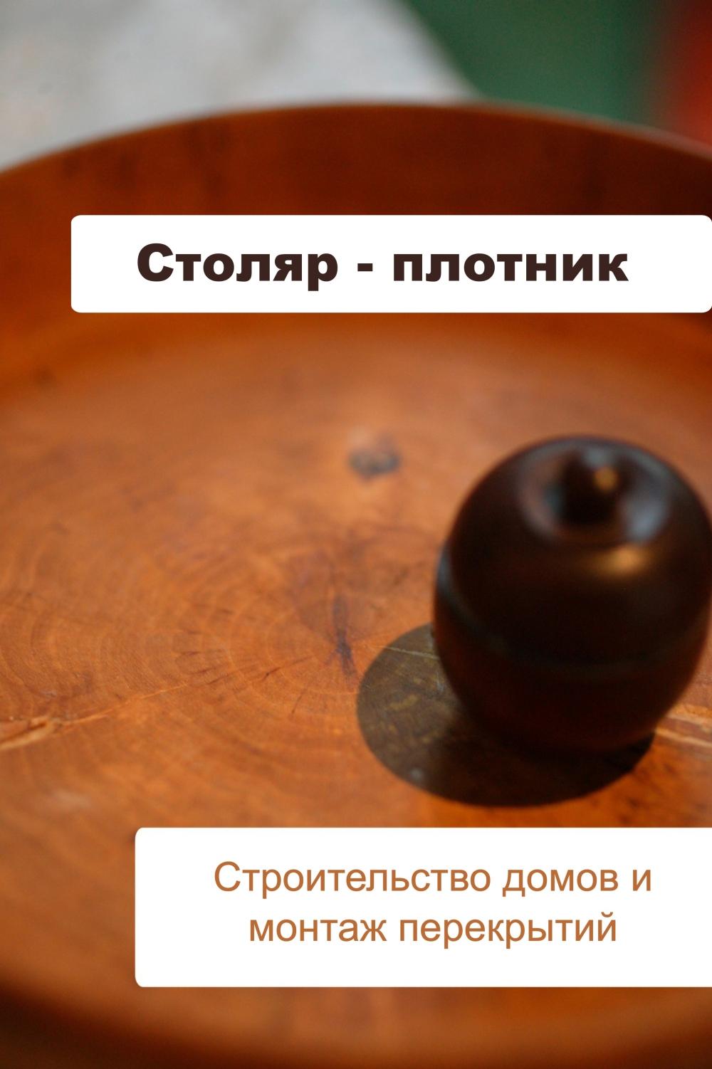 Обложка книги «Строительство домов и монтаж перекрытий»