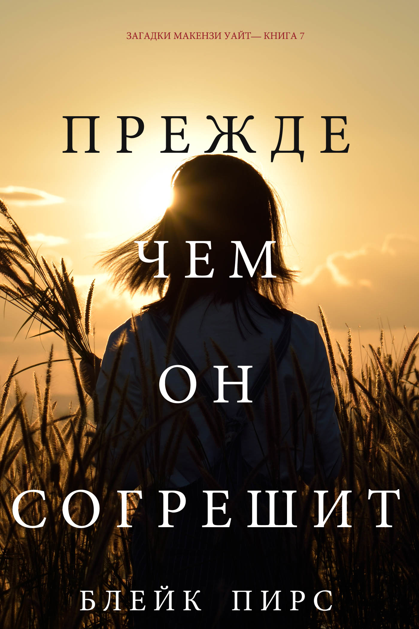 Обложка книги «Прежде чем он согрешит»