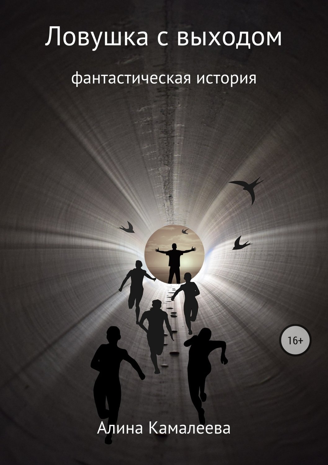 Обложка книги «Ловушка с выходом»