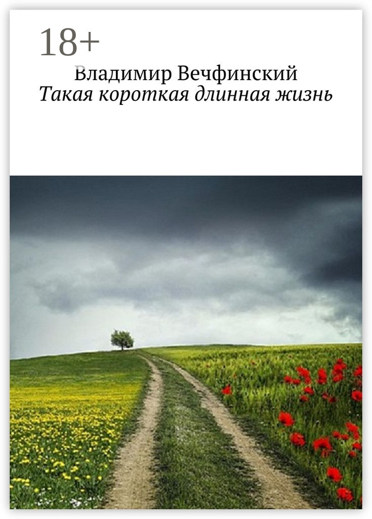 Обложка книги «Такая короткая длинная жизнь»
