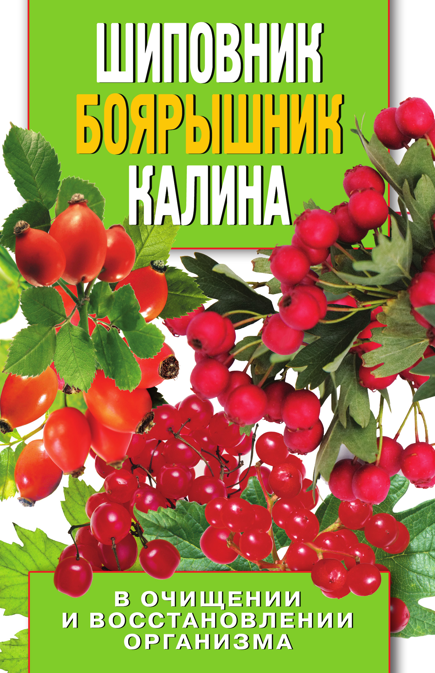 Обложка книги «Шиповник, боярышник, калина в очищении и восстановлении организма»