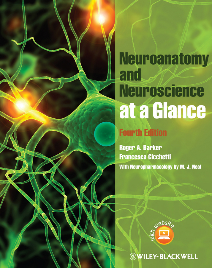 Обложка книги «Neuroanatomy and Neuroscience at a Glance»