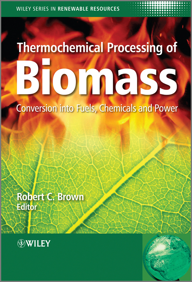 Обложка книги «Thermochemical Processing of Biomass. Conversion into Fuels, Chemicals and Power»