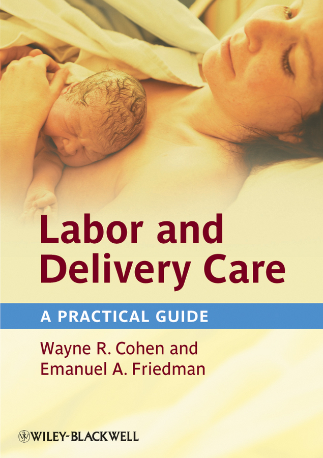 Обложка книги «Labor and Delivery Care. A Practical Guide»