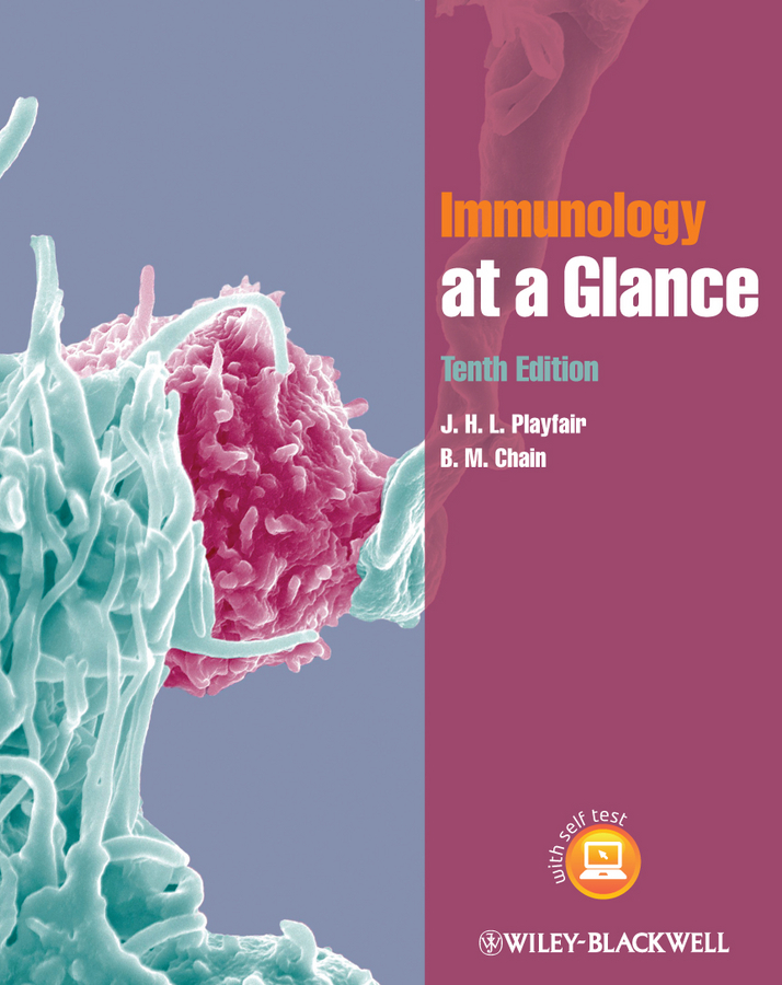 Обложка книги «Immunology at a Glance»
