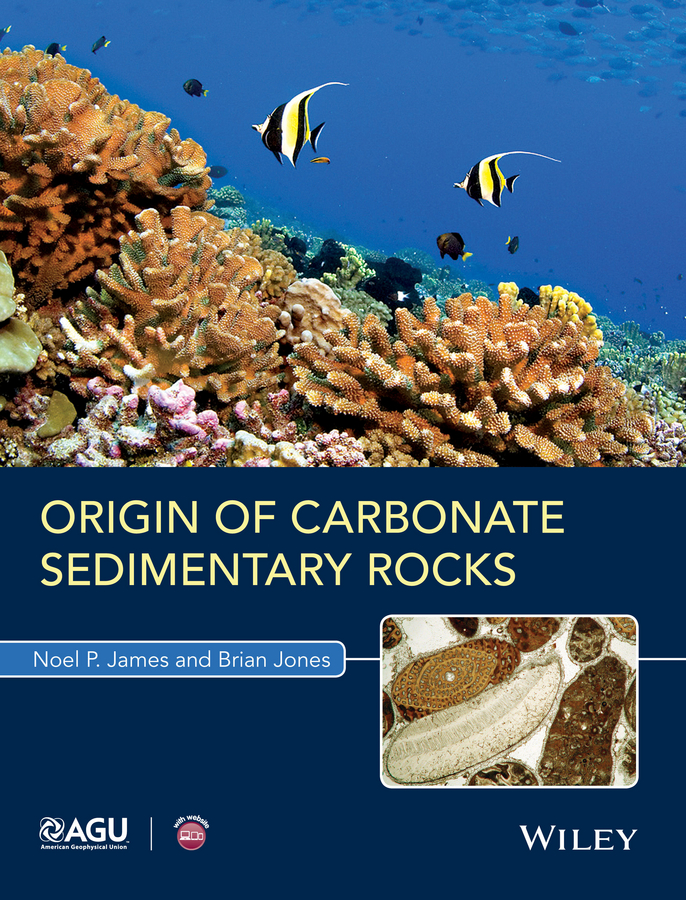 Обложка книги «Origin of Carbonate Sedimentary Rocks»