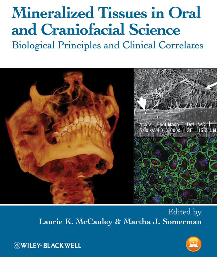Обложка книги «Mineralized Tissues in Oral and Craniofacial Science. Biological Principles and Clinical Correlates»