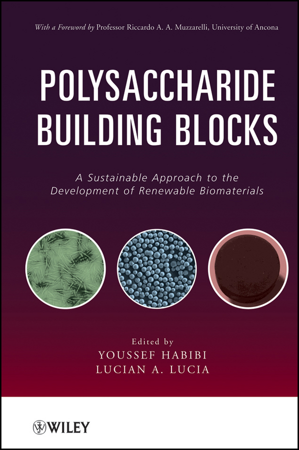 Обложка книги «Polysaccharide Building Blocks. A Sustainable Approach to the Development of Renewable Biomaterials»