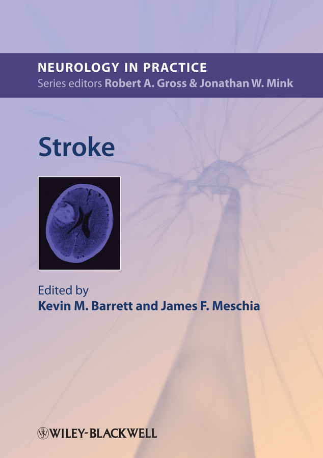 Обложка книги «Stroke»