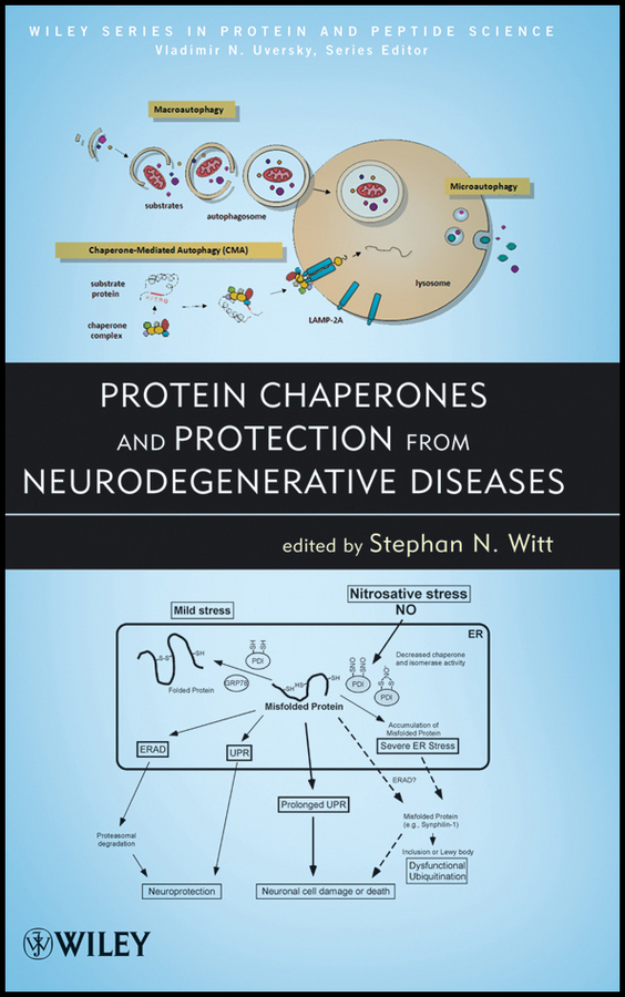 Обложка книги «Protein Chaperones and Protection from Neurodegenerative Diseases»