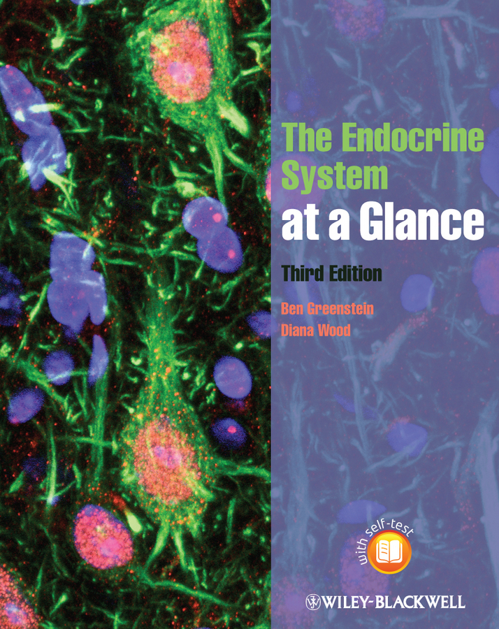 Обложка книги «The Endocrine System at a Glance»