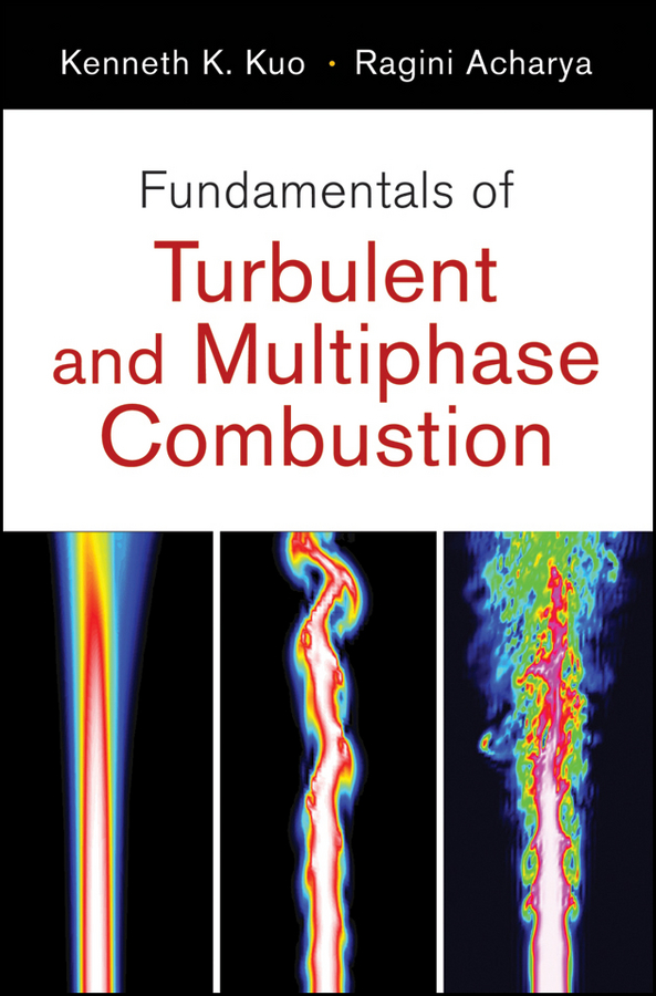 Обложка книги «Fundamentals of Turbulent and Multi-Phase Combustion»
