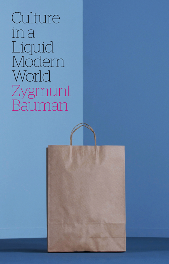 Обложка книги «Culture in a Liquid Modern World»