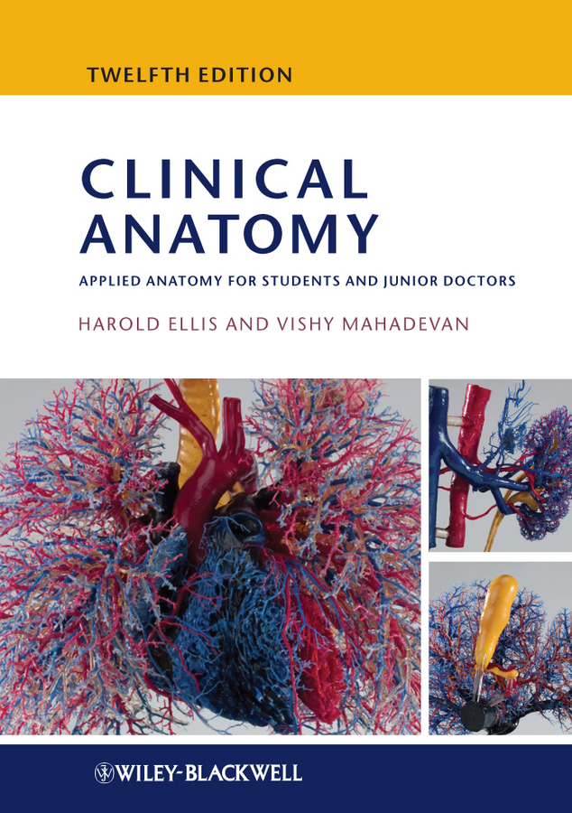 Обложка книги «Clinical Anatomy. Applied Anatomy for Students and Junior Doctors»