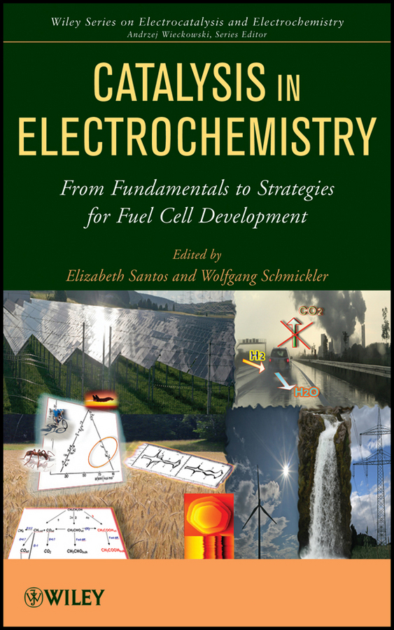Обложка книги «Catalysis in Electrochemistry. From Fundamental Aspects to Strategies for Fuel Cell Development»