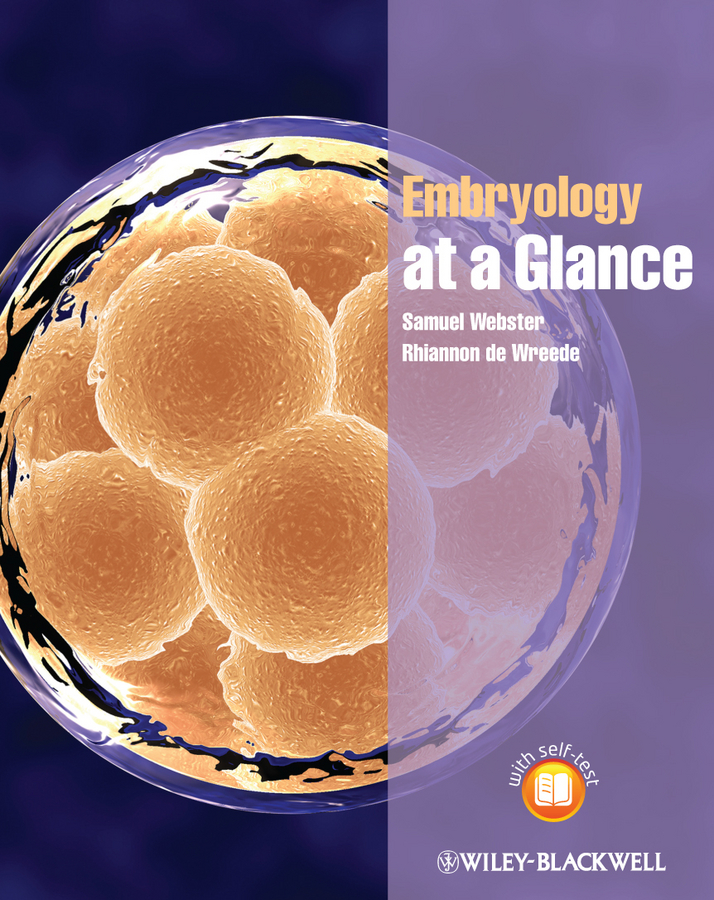 Обложка книги «Embryology at a Glance»