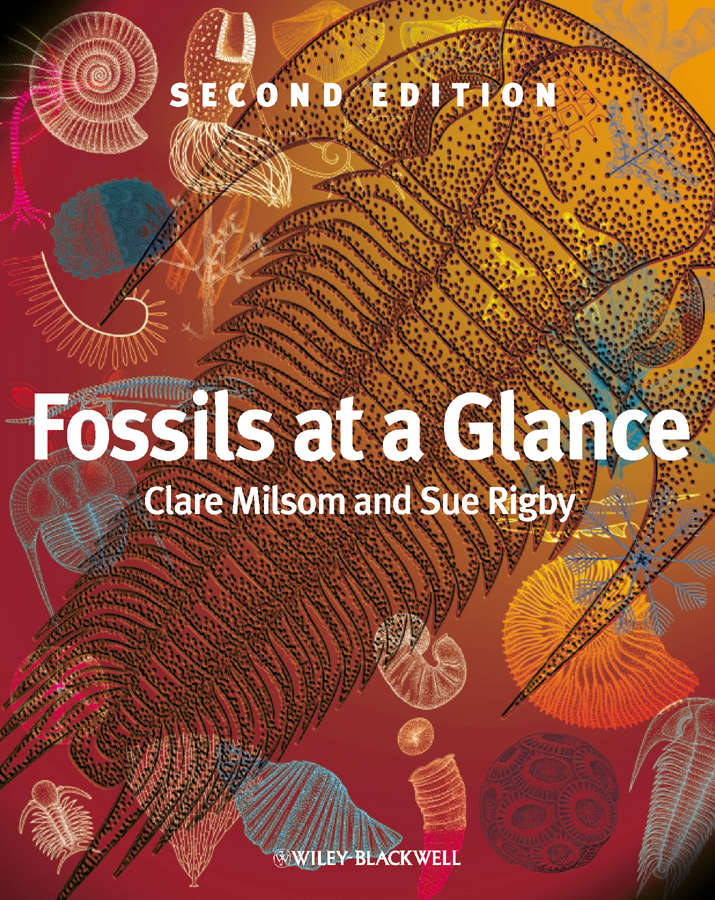 Обложка книги «Fossils at a Glance»