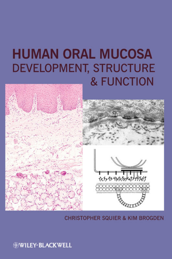 Обложка книги «Human Oral Mucosa. Development, Structure and Function»