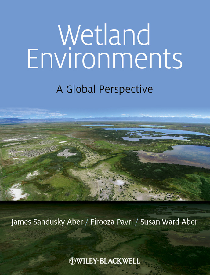 Обложка книги «Wetland Environments. A Global Perspective»