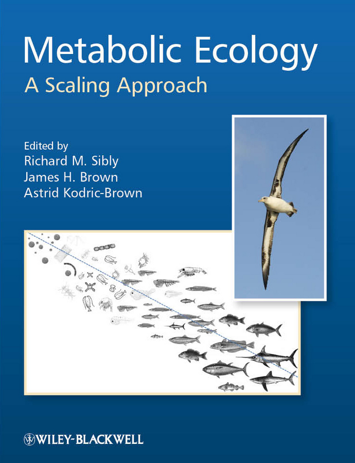Обложка книги «Metabolic Ecology. A Scaling Approach»