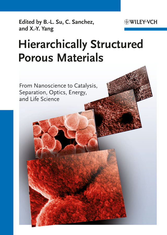 Обложка книги «Hierarchically Structured Porous Materials. From Nanoscience to Catalysis, Separation, Optics, Energy, and Life Science»