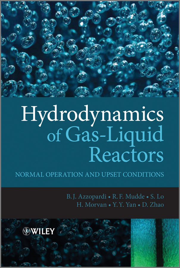 Обложка книги «Hydrodynamics of Gas-Liquid Reactors. Normal Operation and Upset Conditions»