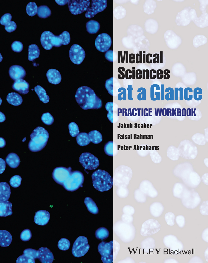 Обложка книги «Medical Sciences at a Glance. Practice Workbook»