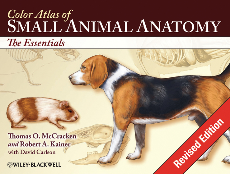 Обложка книги «Color Atlas of Small Animal Anatomy. The Essentials»